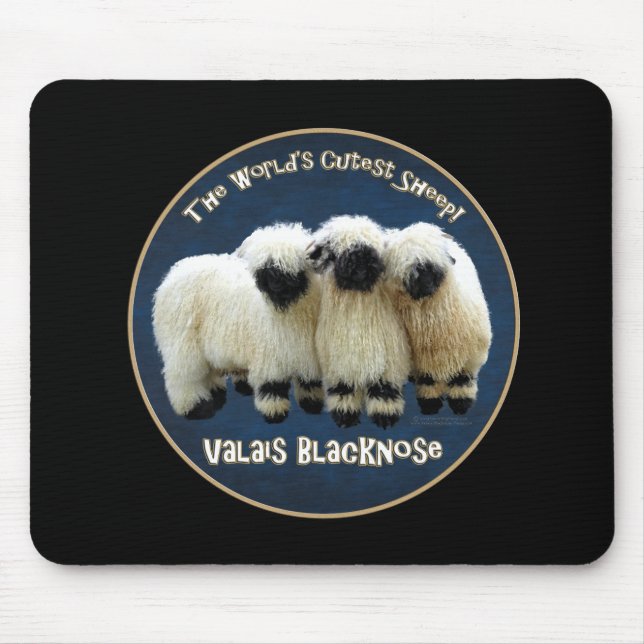 Mousepad Vancôver Blacknose - o carneiro o mais bonito do (Frente)