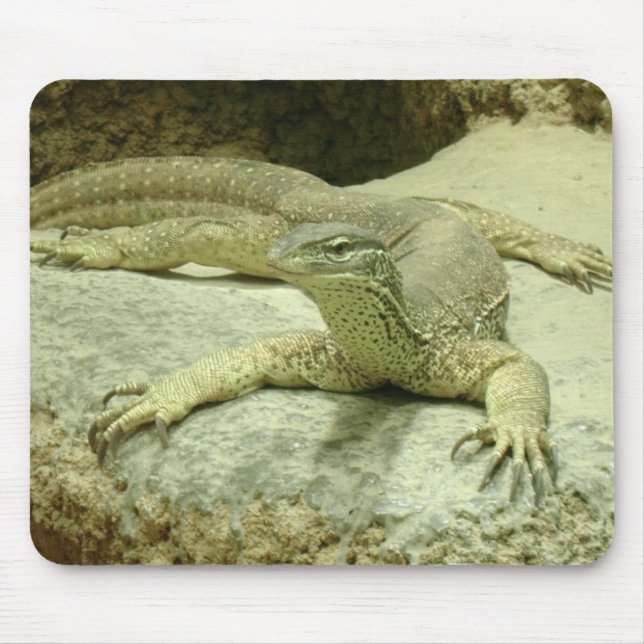 Mousepad Varanus gouldii (Frente)