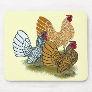 Mousepad Variedade do galo de Sebright