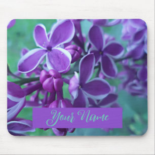 Mousepad Variedade ilíaca de cores