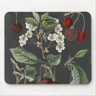 Mousepad Variedades de Pomares I