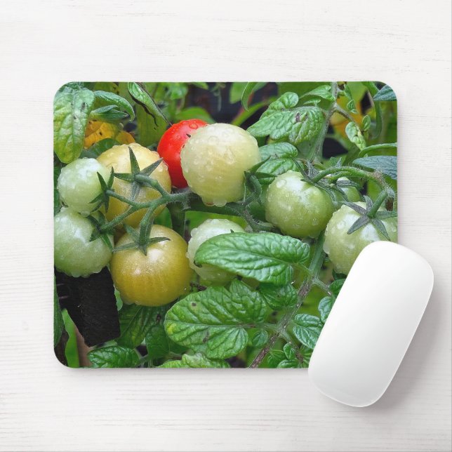 Mousepad Vários Palcos de tomate de cereja amadurecida (Com mouse)