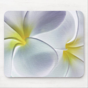 Mousepad Vazio personalizado flor de Havaí do Frangipani d