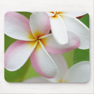 Mousepad Vazio personalizado flor de Havaí do Frangipani d