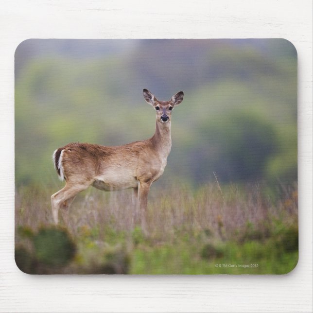 Mousepad Veado Branco (Frente)
