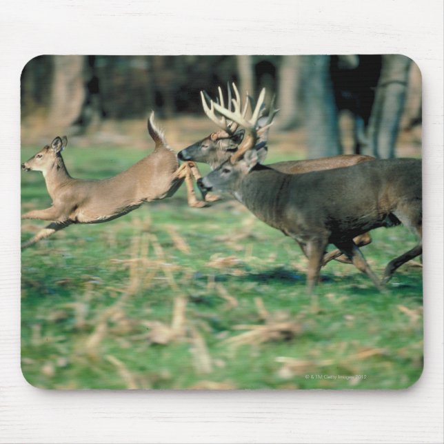 Mousepad Veado correndo na floresta (Frente)