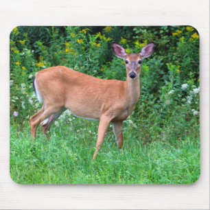 Mousepad Veado-De-Feiticeira Branco