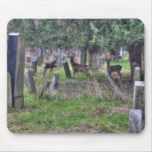 Mousepad Veado Em Zentralfriedhof
