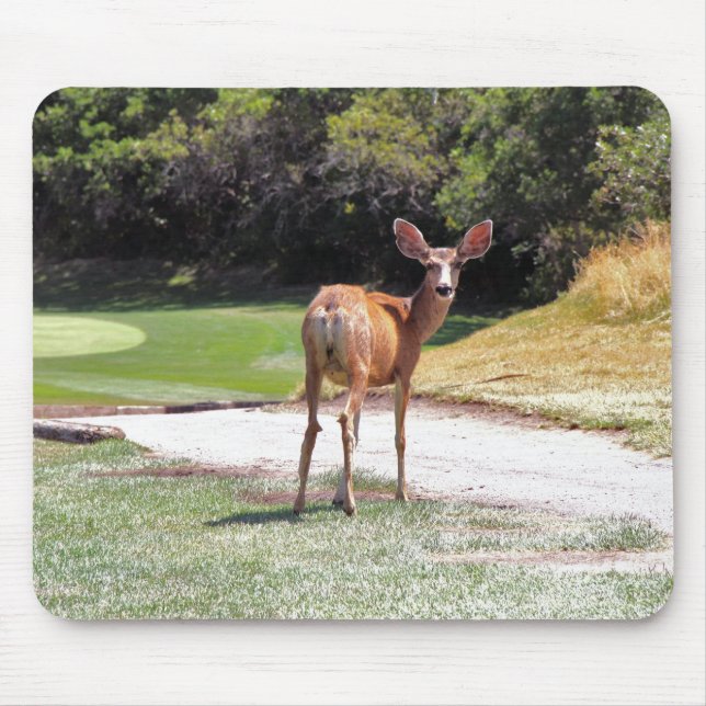 Mousepad veado olhando para a câmera natureza (Frente)
