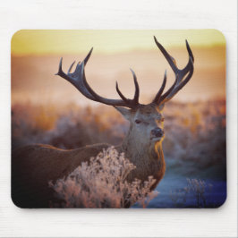 Mousepad Veado Vermelho no início da manhã, Pad do Mouse