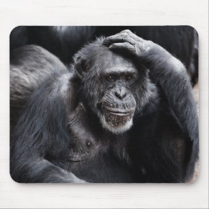 Mousepad Velho chimpanzé