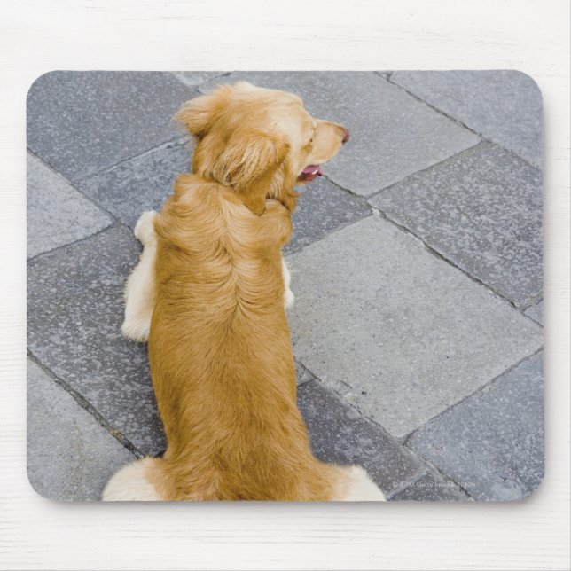 Mousepad Veneza, Itália. (Frente)