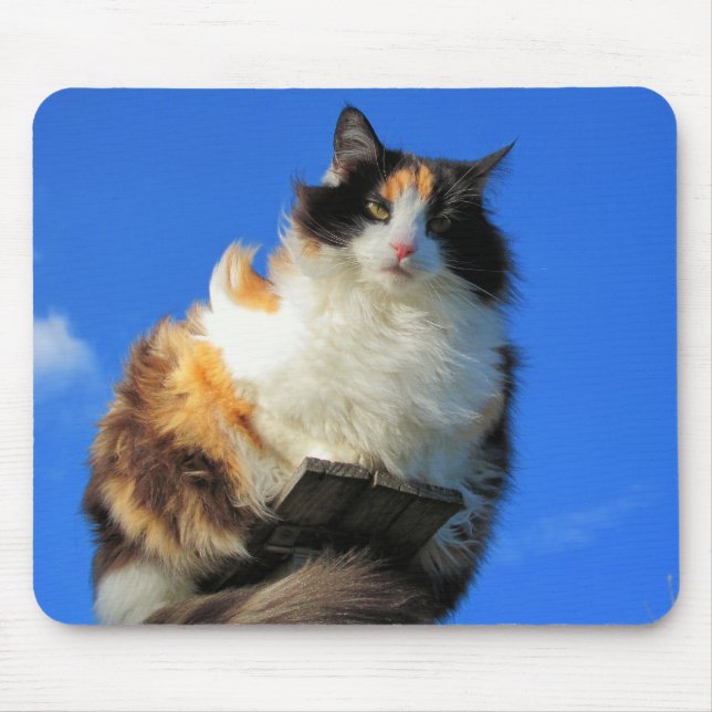 Mousepad Ventoso aqui em cima (Frente)