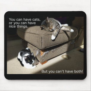 Mousepad Verdade no tapete do rato de Meme do gato do