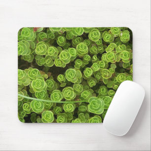 Mousepad Verde 2