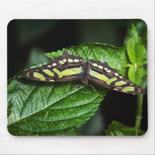 Mousepad Verde Vibrante
