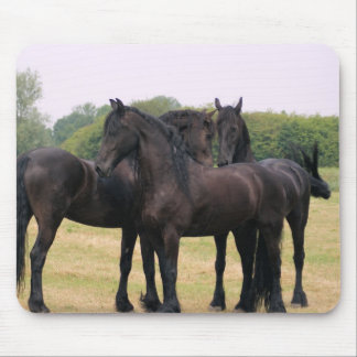 Mousepad Verificando o eachother para fora