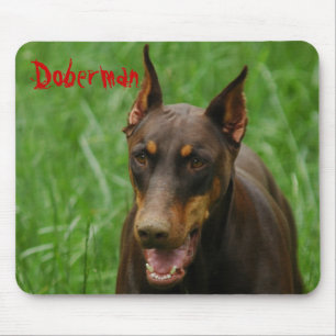 Mousepad Vermelho e Doberman da oxidação