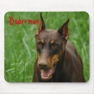 Mousepad Vermelho e Doberman da oxidação