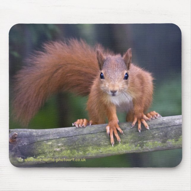 Mousepad Vermelho Mousemat do bebê (Frente)