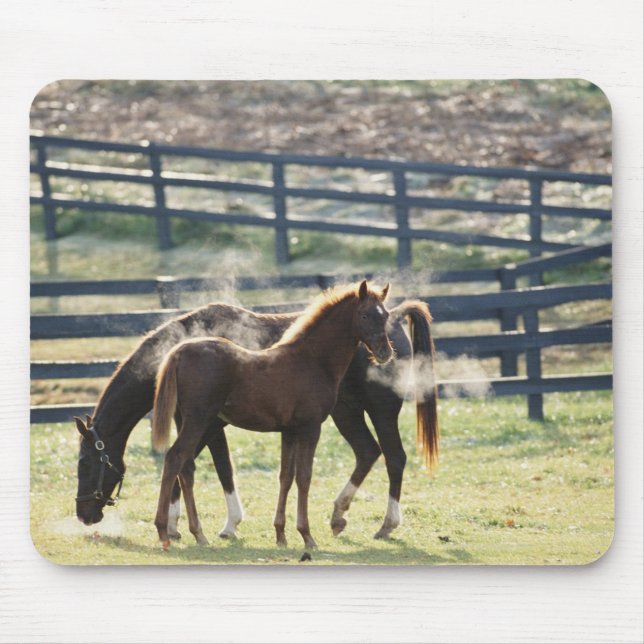 Mousepad Vermont, EUA (Frente)