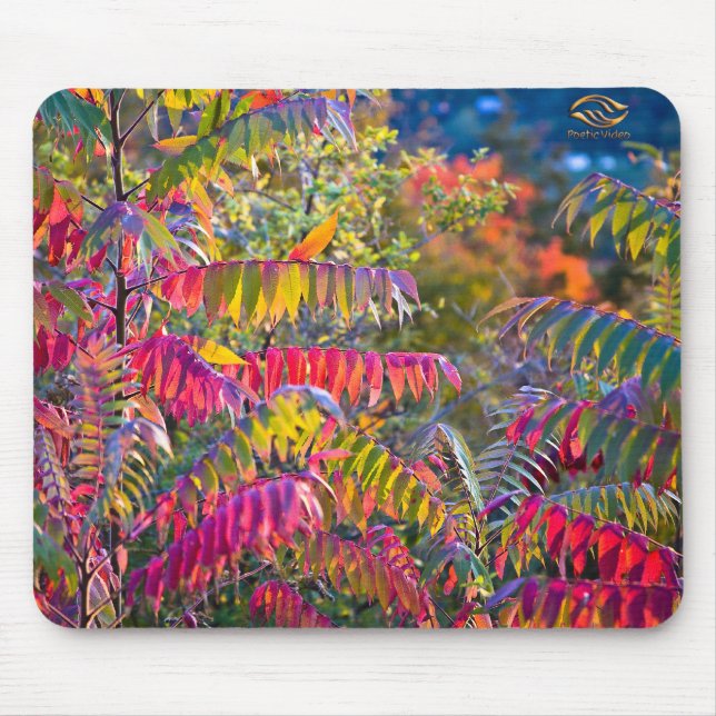 Mousepad Vermont Foliage (Frente)