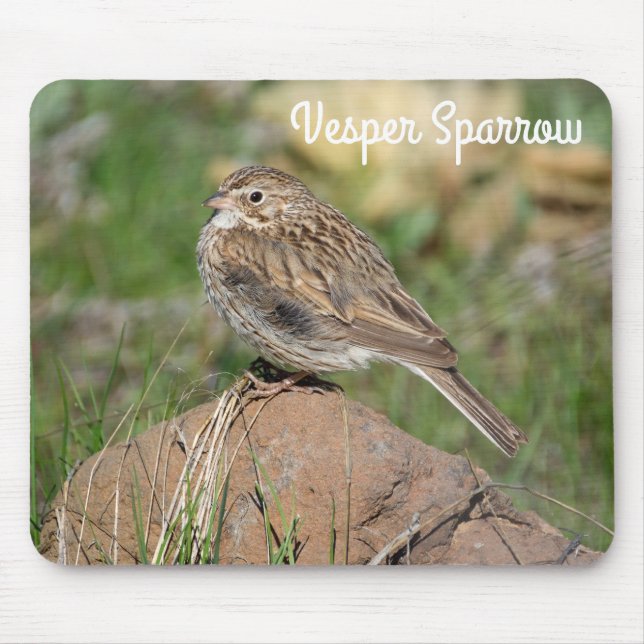Mousepad Vesper Sparrow (Frente)