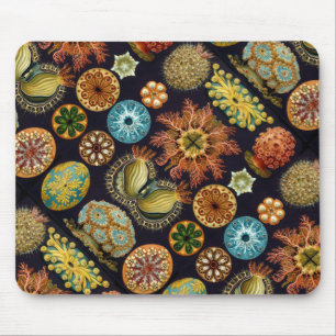 Mousepad Vida do oceano do Ascidiae de Ernst Haeckel