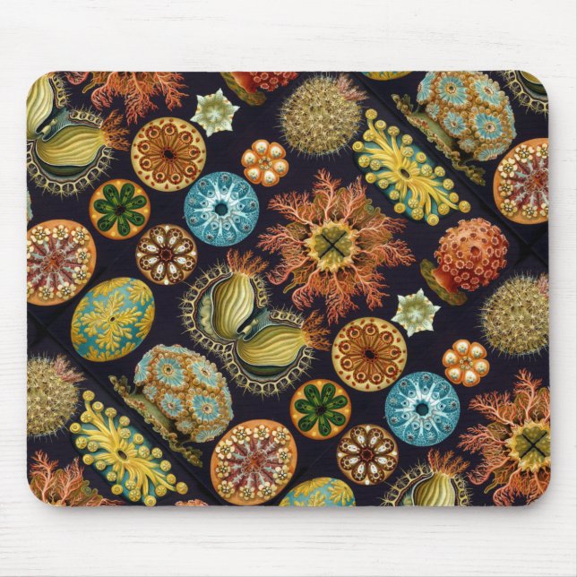 Mousepad Vida do oceano do Ascidiae de Ernst Haeckel (Frente)