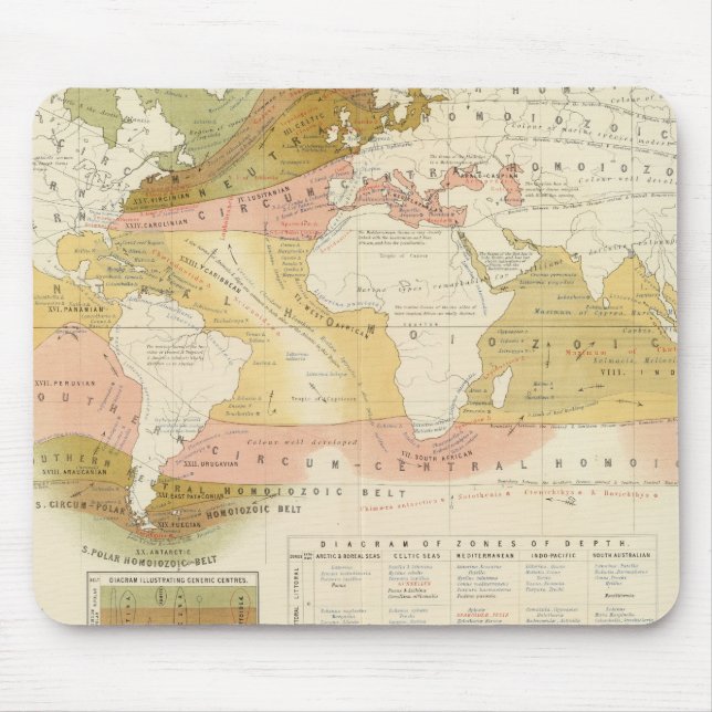 Mousepad Vida marinha (Frente)