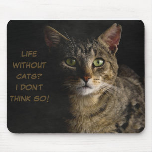 Mousepad Vida sem gatos? Acho que não! Costumar engraçado