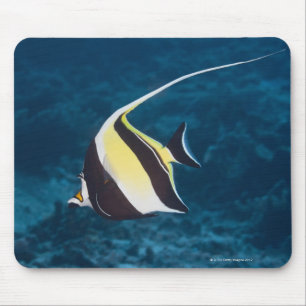 Mousepad Vida subaquática; PEIXES: Um ídolo do Moorish