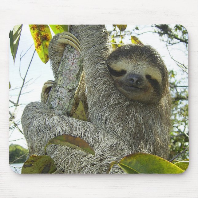 Mousepad Vida viva como uma lama (Frente)