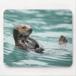 Mousepad Vigiando a lontra marítima