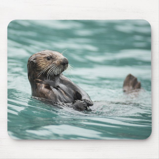 Mousepad Vigiando a lontra marítima (Frente)