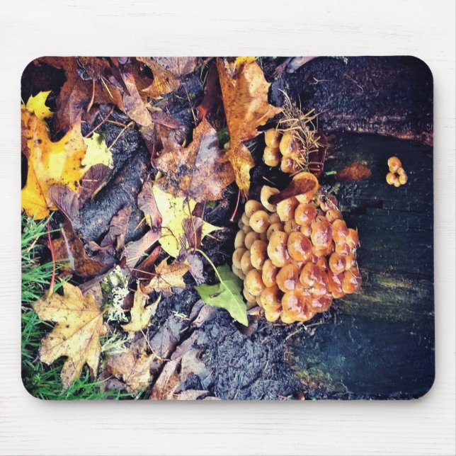 Mousepad Vila Mushroom (Frente)