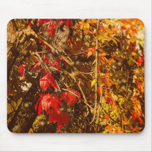 Mousepad Vinhas Amarelas Vermelhas de Outono