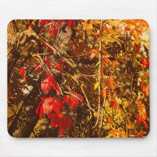 Mousepad Vinhas Amarelas Vermelhas de Outono (Frente)