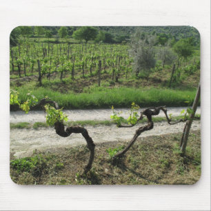Mousepad Vinhedo na região de Chianti de Italia