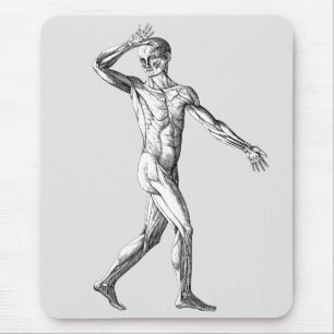 Mousepad Vintage Anatomia Humana, Músculos do Corpo Masculi
