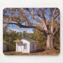 Vintage Antiga Flórida Motel Rustico Cabinas na Es