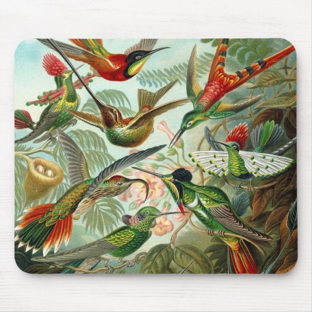 Mousepad Vintage Artist Ernst Haeckel Trochilidae (Frente)