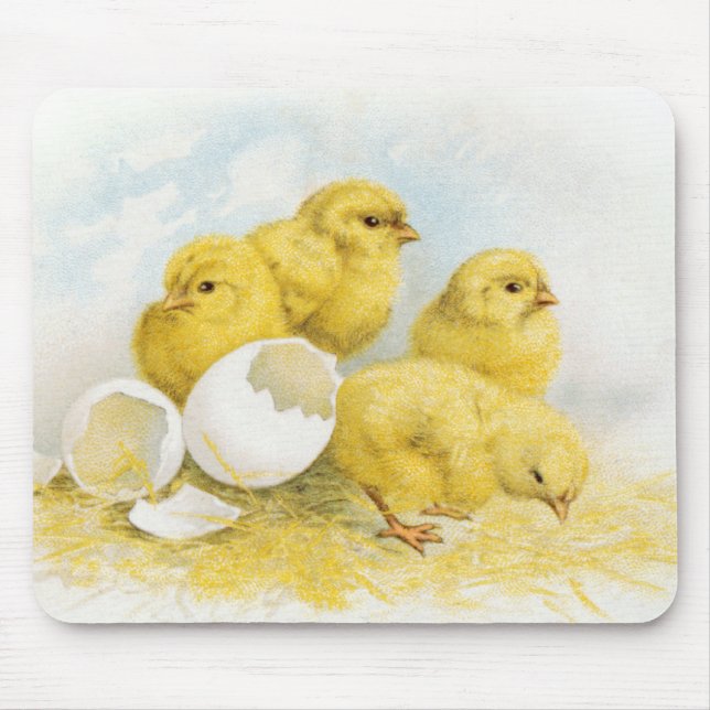Mousepad Vintage Baby Chickens (Frente)