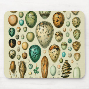 Mousepad Vintage Bird Ovos de Peixes Franceses