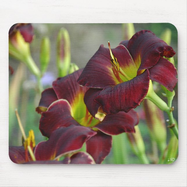 Mousepad Vintage Bordeaux do hemerocallis ' (Frente)