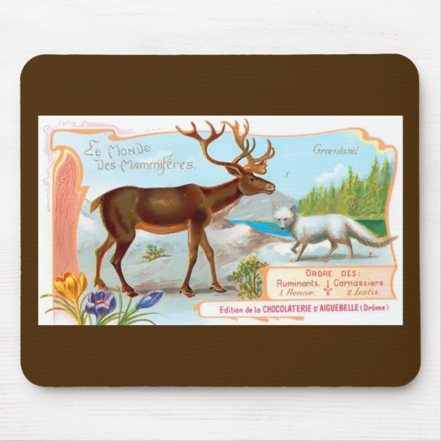Mousepad Vintage Cariou (Reindeer) e Raposa Árctica (Frente)