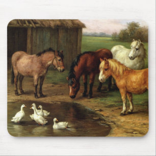 Mousepad Vintage, Cavalo Branco Marrom E Animais De Criação