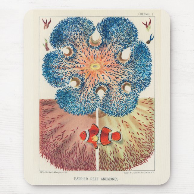 Mousepad Vintage Excelente Barrier Reef Anemones Carol Fish (Frente)
