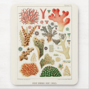Mousepad Vintage Excelente Barrier Reef of Australia Corals