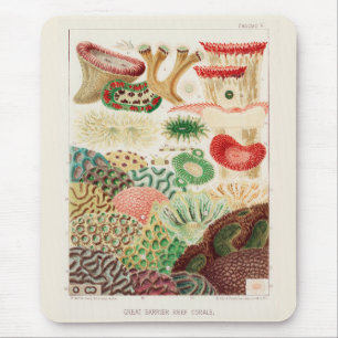 Mousepad Vintage Excelente Barrier Reef of Australia Corals